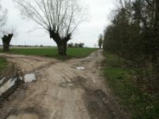 Paulin&oacute;w. Miejsce gdzie zginął szwagier Kazimierza Kusiaka.