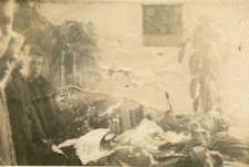 People killed for helping Jews from Paulin&oacute;w, occupation time