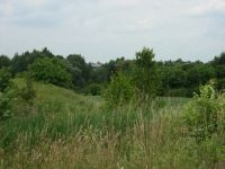 Uniszowice. Miejsce, gdzie stała ziemianka, w kt&oacute;rej ukrywali się Żydzi.