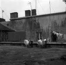 Podw&oacute;rko na Starym Mieście w Lublinie