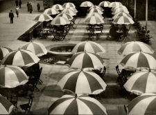 Kawiarnia w Lublinie