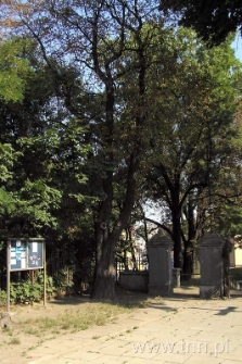 Otoczenie kościoła św. Mikołaja na Czwartku