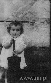 Danuta Mikulska-Renk