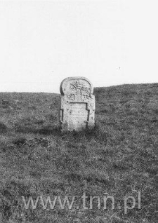 Macewa na Nowym Cmentarzu Żydowskim w Lublinie