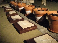 Misterium "Pamięć Sprawiedliwych - Pamięć Światła"