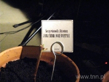 Misterium "Pamięć Sprawiedliwych - Pamięć Światła"