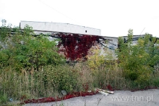 Lubelski Plac Śmierci