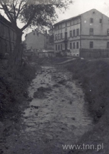 Rzeka Czechówka w Lublinie, przed regulacją. Fotografia