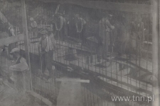 Rzeka Czech&oacute;wka w Lublinie, zbrojenie. Fotografia