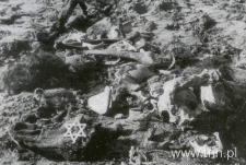 Szczątki ofiar obozu zagłady w Bełżcu