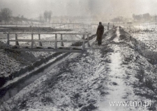 Ogr&oacute;dki działkowe w Lublinie, mostki. Fotografia