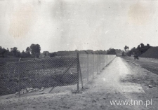 Ogródki działkowe w Lublinie, ogrodzenie. Fotografia