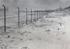 Ogr&oacute;dki działkowe w Lublinie, ogrodzenie. Fotografia