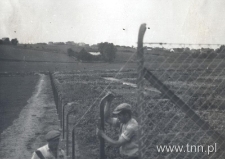 Ogródki działkowe w Lublinie, ogrodzenie. Fotografia