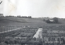 Ogródki działkowe w Lublinie, ogrodzenie. Fotografia