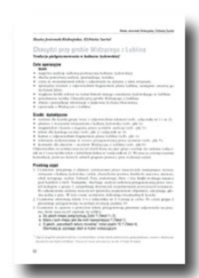 Chasydzi przy grobie Widzącego z Lublina : tradycja pielgrzymowania w kulturze żydowskiej