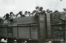 Żydzi w wagonikach kolejki wąskotorowej w drodze do obozu zagłady w Chełmnie