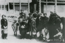 Żydzi węgierscy w obozie Auschwitz, w drodze do komór gazowych