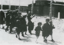 Żydzi węgierscy w obozie Auschwitz, w drodze do komór gazowych