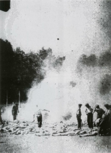 Palenie zwłok w obozie Auschwitz