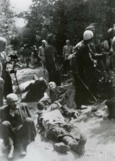 Miejsce straceń Żydów w Głogowie niedaleko Rzeszowa