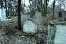 Współczesna fotografia macewy ze Starego Kirkutu w Lublinie