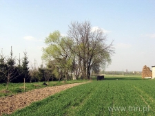 Teren nowego kirkutu w Tyszowcach