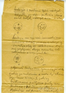 Notatki Ludwika Flecka