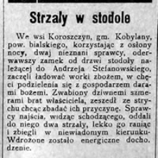 Strzały w stodole