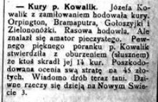 Kury p. Kowalik