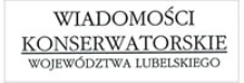 Prace remontowo-konserwatorskie w Pałacu Lubomirskich przy Placu Litewskim w Lublinie