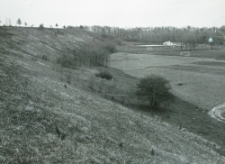 Bychawa, woj. lubelskie. Panorama miasta
