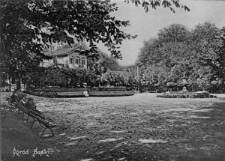 Ogr&oacute;d Saski w Lublinie