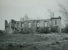 Bychawa, woj. lubelskie. Ruiny pałacu widok od południowego &ndash; wschodu.