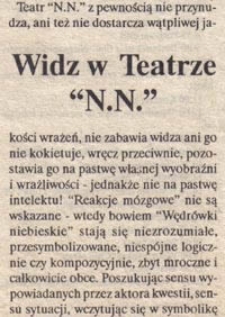 Widz w Teatrze "N.N."