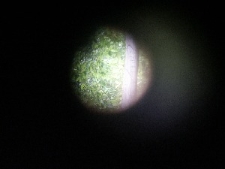 Wystawa "Elementarz". Ostatnia ściana baraku. Skrzynka ze slajdami