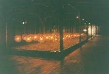 Shrine. Instalacja artystyczna Tadeusza Mysłowskiego