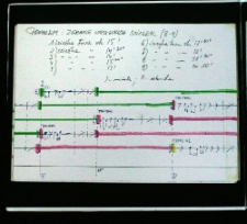 Partytura do instalacji artystycznej "Shrine" (4)