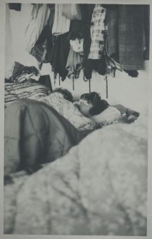 Strajki studenckie w 1981 roku