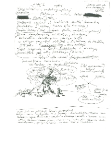 Kartka z dziennika Tadeusza Mysłowskiego