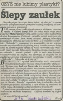 CZYŻ nie lubimy plastyki? Ślepy zaułek