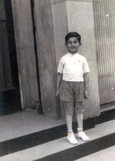 Henio Żytomirski. Historia jednego życia