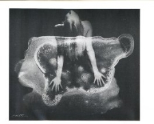 Fotografia autorstwa Edwarda Hartwiga (reprodukcja)