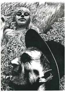 Rysunek autorstwa Macieja Gądora (reprodukcja)