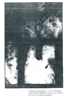 Fotogram autorstwa Macieja Sowy-Perczyńskiego (reprodukcja)