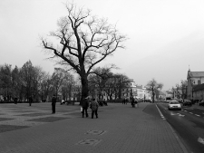 Dźwięki z Placu Litewskiego w Lublinie