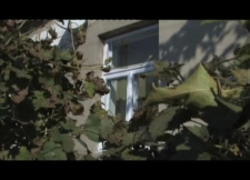 Zdzisław Suwałowski opowiada o szkole na Kalinowszczyźnie - Zdzisław Suwałowski - fragment relacji świadka historii [WIDEO]