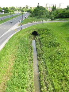 Rzeka Czech&oacute;wka na wysokości Czechowa