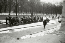 Grupa student&oacute;w na al. Racławickich w Lublinie