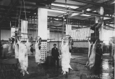 Wnętrze rzeźni miejskiej w Lublinie